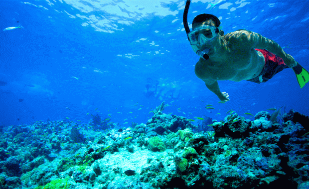 Paket Wisata Pulau Mandeh 1 Hari Bersama Aulia Tour Padang