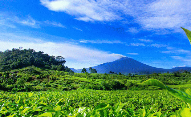5 Rekomendasi Tempat Wisata di Solok Layak Dikunjungi